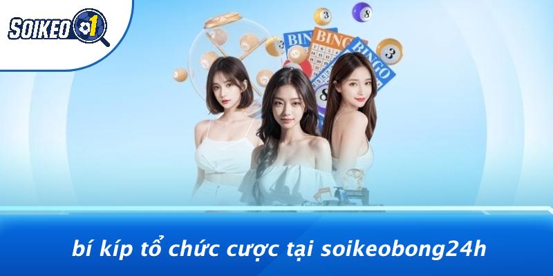 Bí Kíp Tổ Chức Cược Tại Soikeobong24h